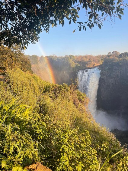 A waterfall with a rainbow, surrounded by lush greenery. 4