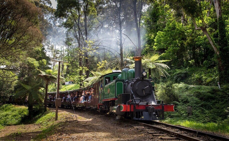 A steam train with passengers traveling through a forested area. 1