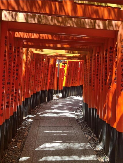 Polku, jonka varrella on rivi oransseja torii-portteja. 2