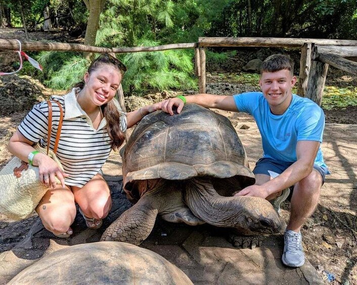 Two people interacting with a large tortoise in a zoo enclosure. 3
