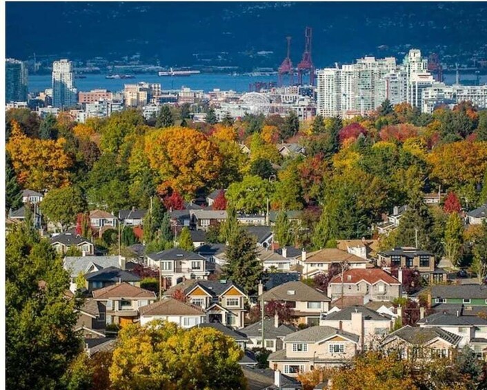 A residential area with houses and autumn foliage, a city skyline with tall buildings, and a body of water in the background. 1
