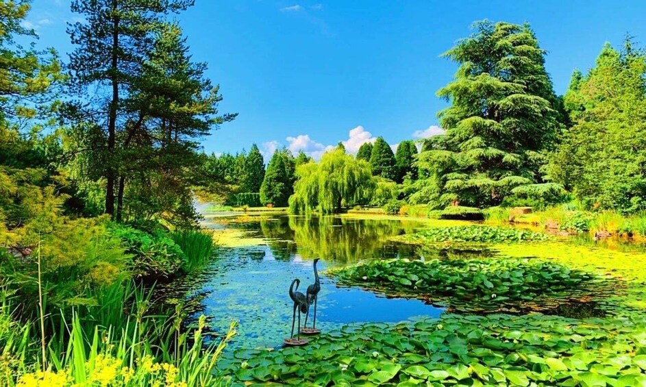 A serene pond surrounded by lush greenery and trees. 4