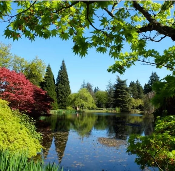 A serene pond surrounded by lush greenery and trees. 5