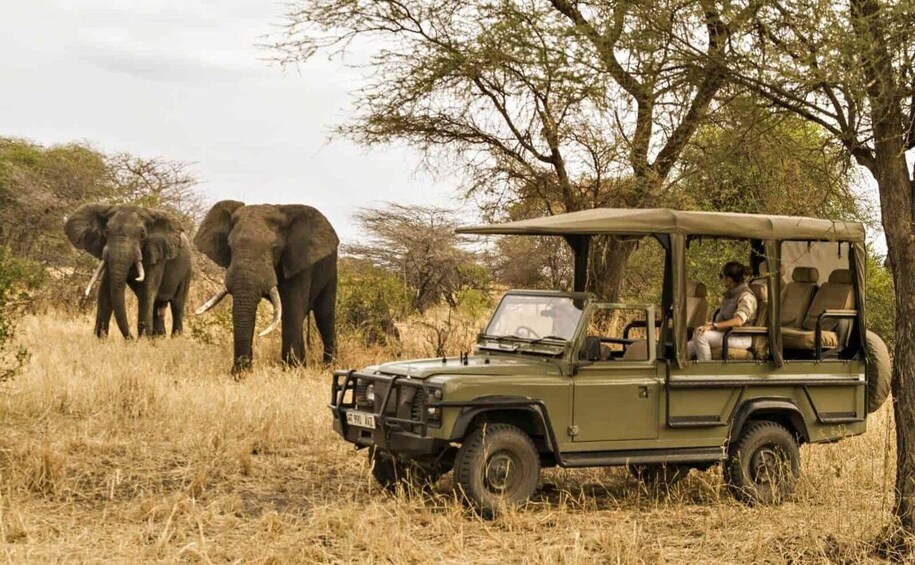 Picture 6 for Activity Cape Town, Johannesburg, and Kruger National Park 7 day Tour 4