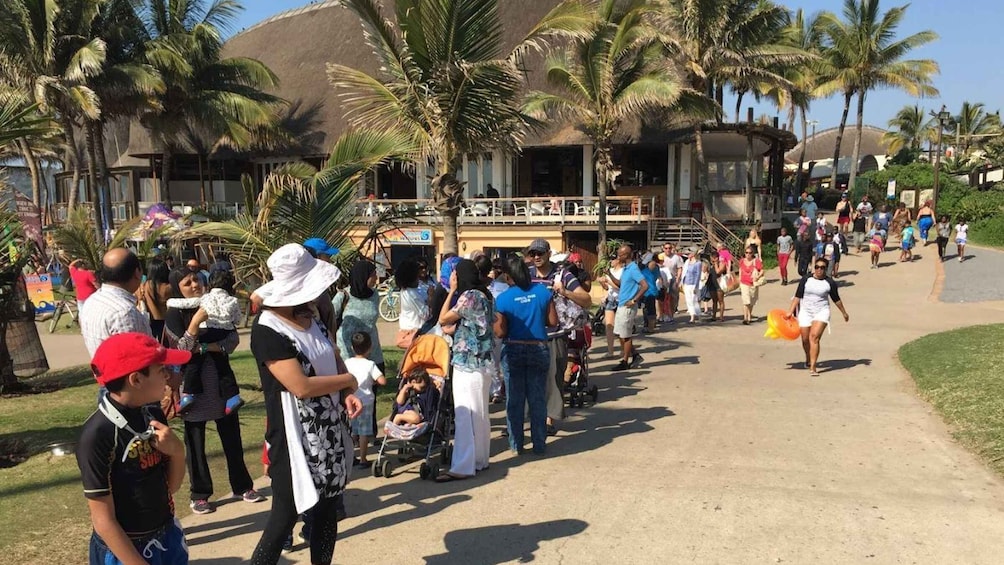 A crowd of people gathered in a tropical outdoor setting with palm trees and a building in the background. 2