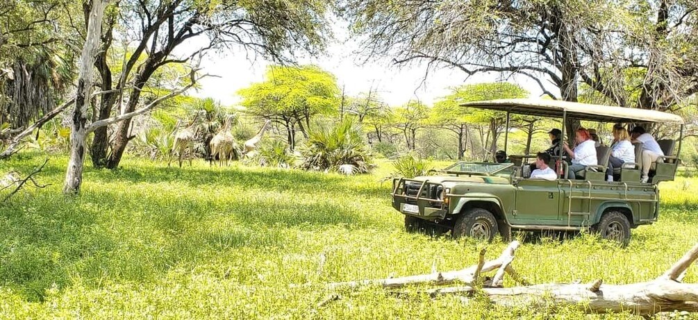 A safari vehicle with passengers observing wildlife in a grassy savannah. 2