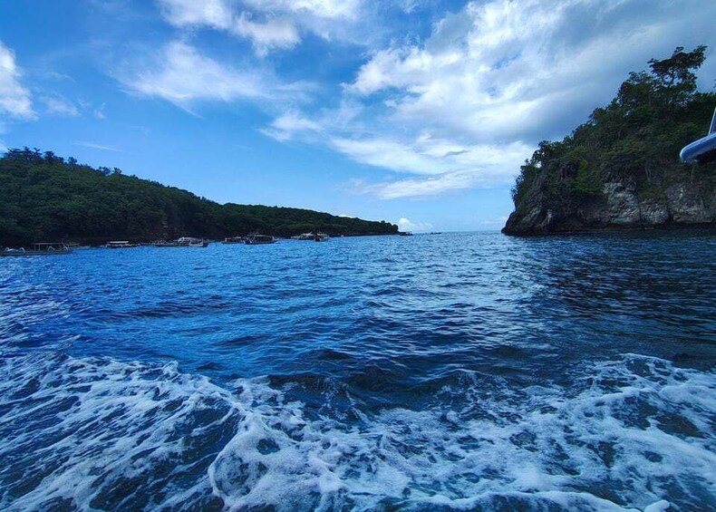 A body of water with waves, a clear sky, and a coastline with greenery. 2
