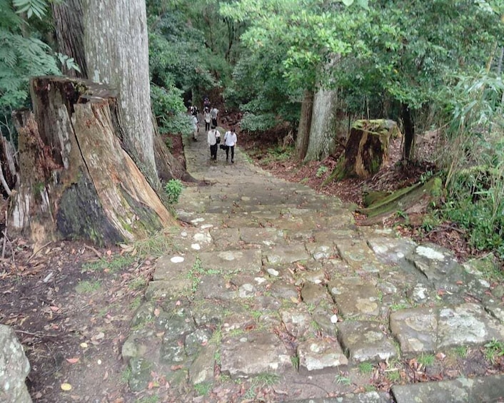 Picture 19 for Activity Wakayama: Kumano Kodo Sacred Walk to Nachi in Heian Attire 2