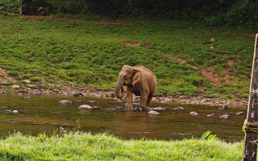 Picture 2 for Activity Coimbatore: Kerala Hills Day Trip with Jeep Safari & Lunch 2