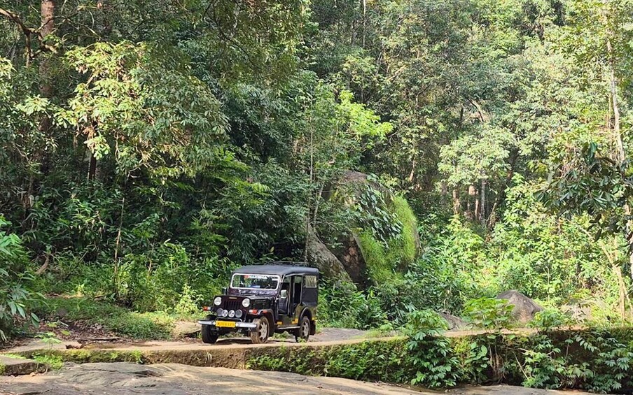 Picture 3 for Activity Coimbatore: Kerala Hills Day Trip with Jeep Safari & Lunch 4