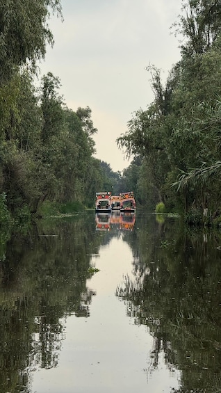 Picture 16 for Activity Xochimilco Ecological Tour – Away From the Crowds 2