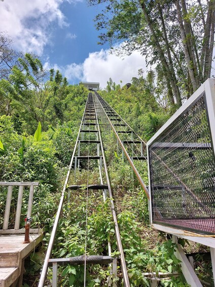 A metal staircase leading up a hill, surrounded by lush greenery and trees. 4