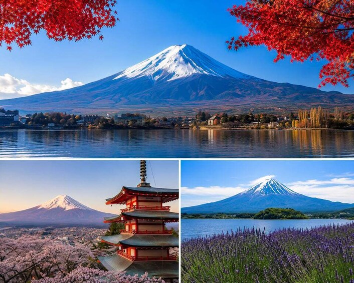 Picture 17 for Activity From Tokyo: Mount Fuji Private Tour With English Guide 2