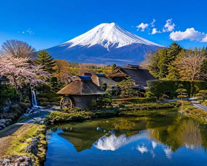 Picture 19 for Activity From Tokyo: Mount Fuji Private Tour With English Guide 3