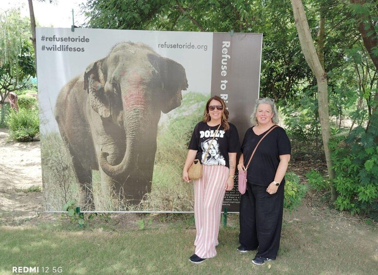 Picture 1 for Activity From Agra: SOS Elephant Conservation & Bear Rescue Day Trip 2