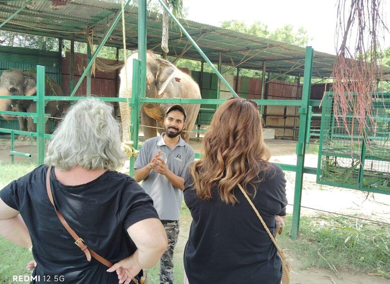 Picture 14 for Activity From Agra: SOS Elephant Conservation & Bear Rescue Day Trip 3
