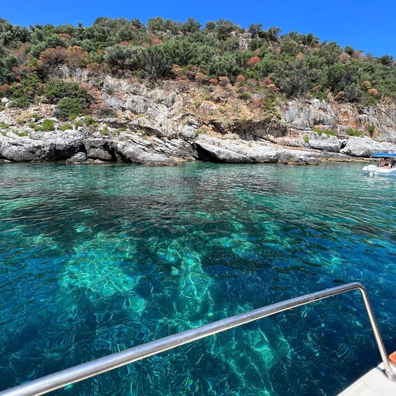 From Diamante: Boat excursions to Cirella Island with a stop for swimming 1