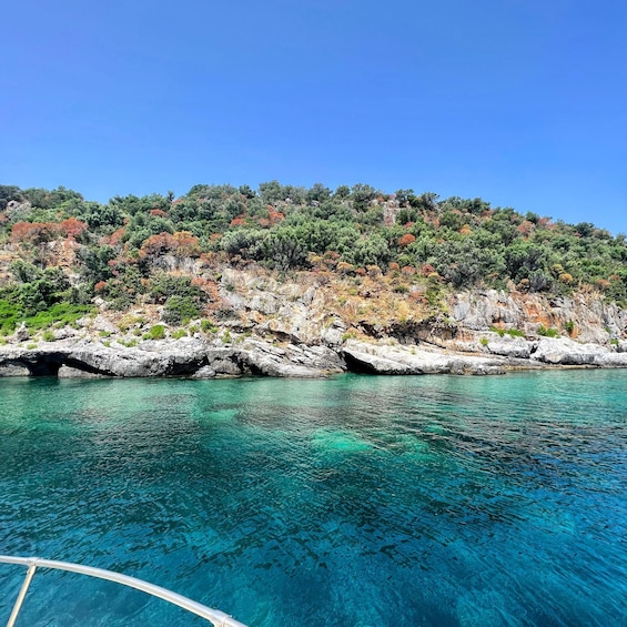 A clear blue sea with rocky shores and dense green foliage. 2