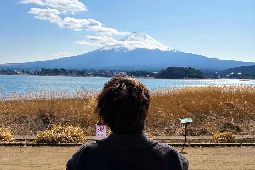 Picture 43 for Activity Mt. Fuji Small Group Tour: Hotel Pickup & Private Tour 2