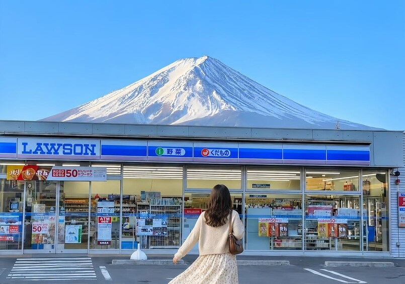 Mt. Fuji Small Group Tour: Hotel Pickup & Private Tour 1
