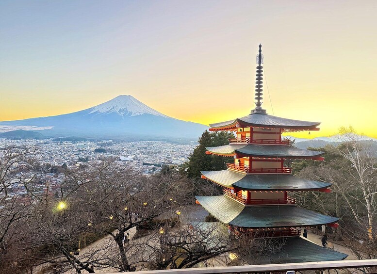 Picture 17 for Activity Mt. Fuji Small Group Tour: Hotel Pickup & Private Tour 1