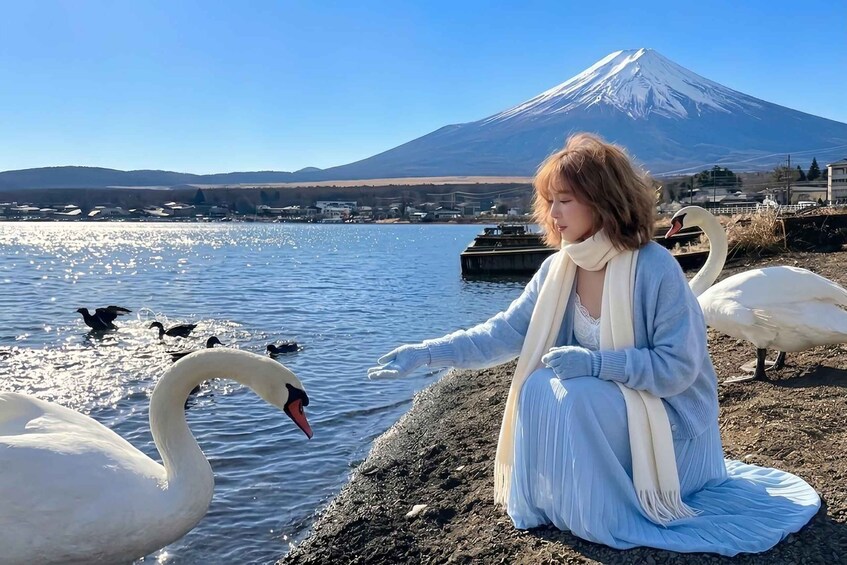 A person sitting by a lake with swans and ducks, a boat, and a mountain in the background. 3