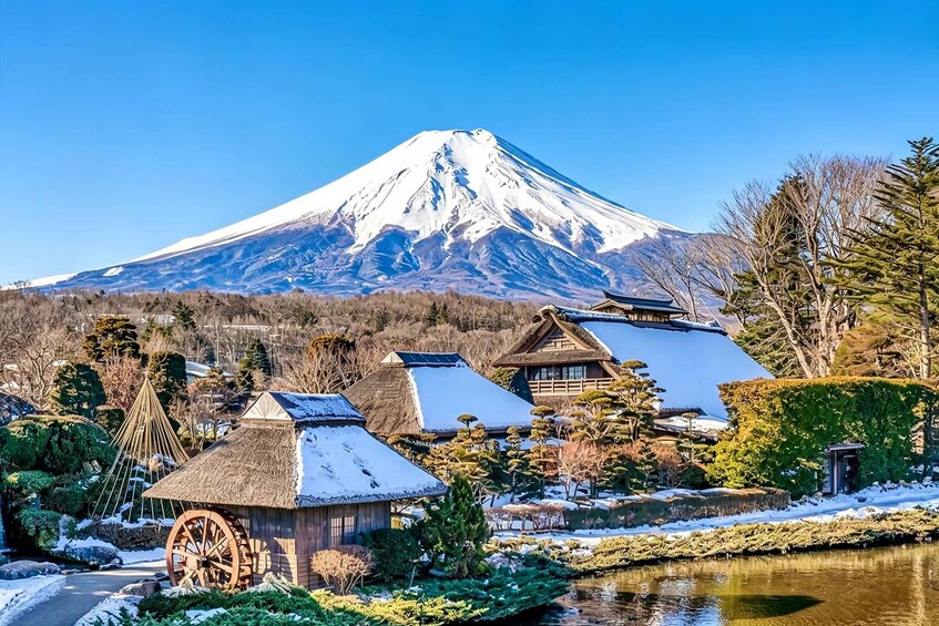 Picture 39 for Activity Mt. Fuji Small Group Tour: Hotel Pickup & Private Tour 4