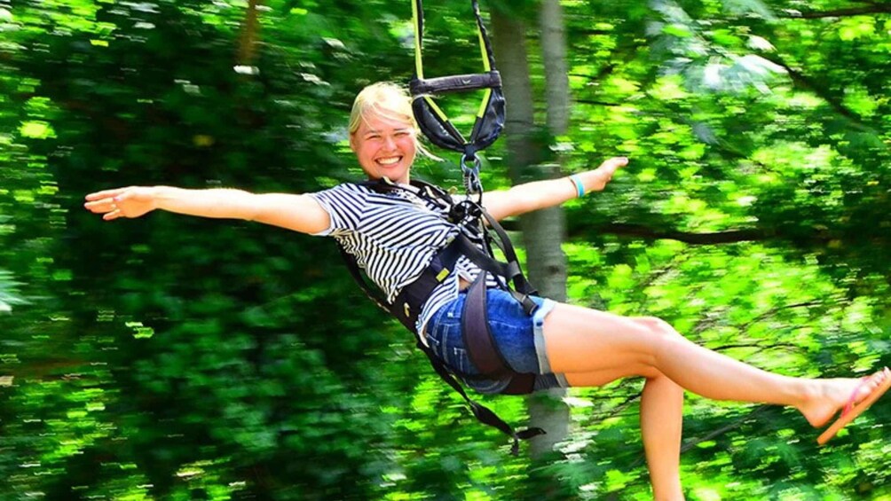 A person ziplining through a forest. 3