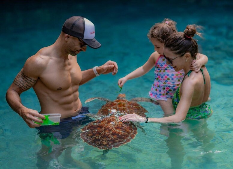 A man and two children feeding a sea turtle in clear water. 5