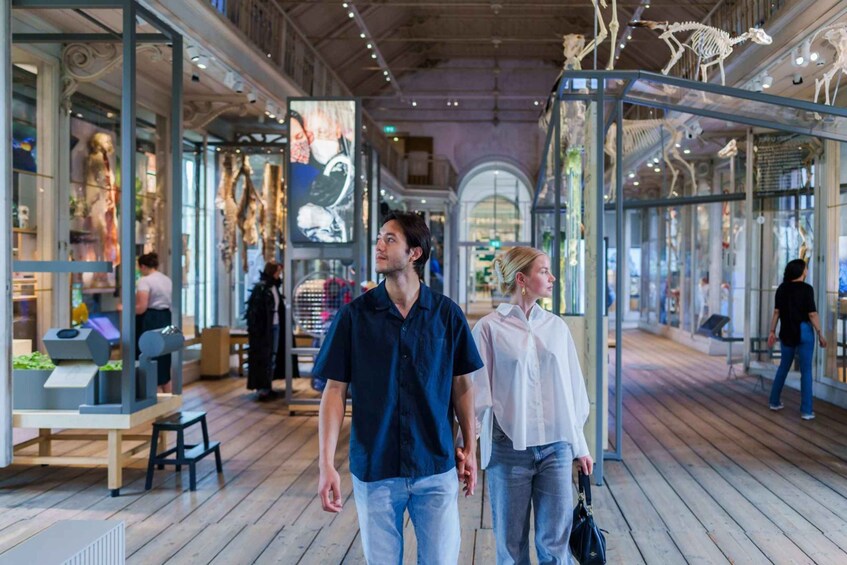 An indoor shopping area with glass display cases and skeleton exhibits. 2