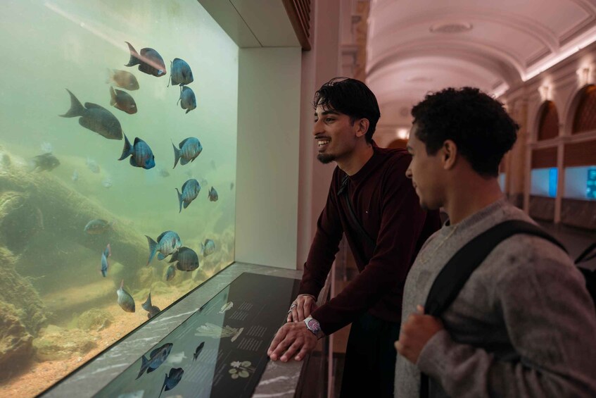 Two people observing an aquarium with various fish. 2
