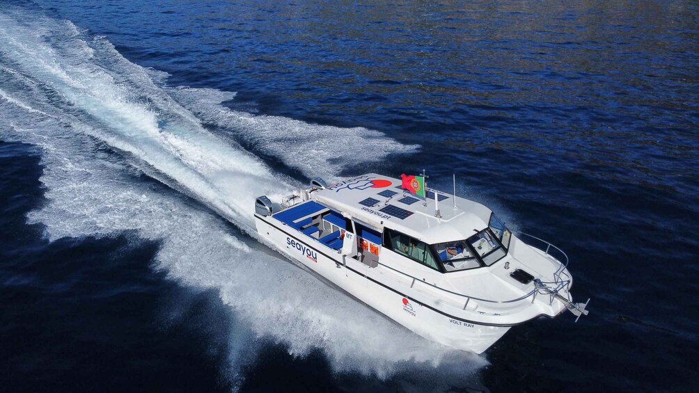A white boat with 'seayou' and 'VOLT RAY' on its side, moving through the water. 3