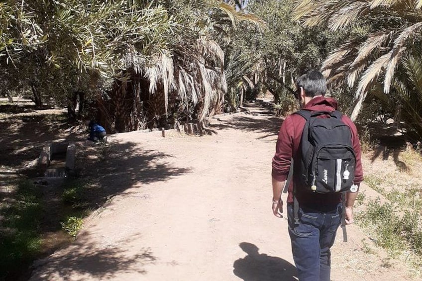 A person walking on a dirt path surrounded by palm trees. 2