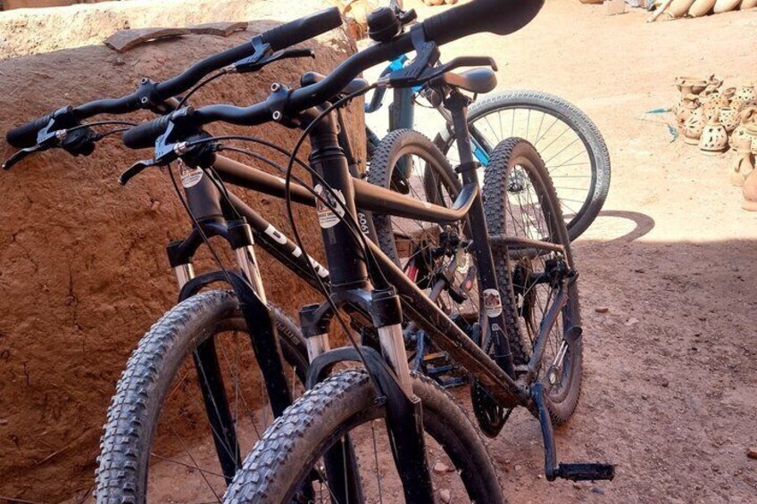 Best Skoura Bike Tour – Oasis, Kasbahs & Local Life, Palm Grove 2