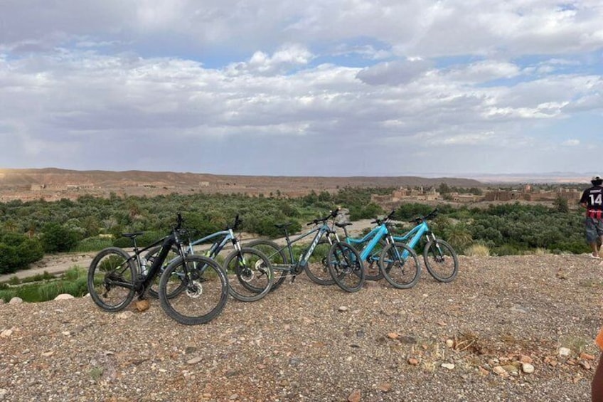 Best Skoura Bike Tour – Oasis, Kasbahs & Local Life, Palm Grove 3