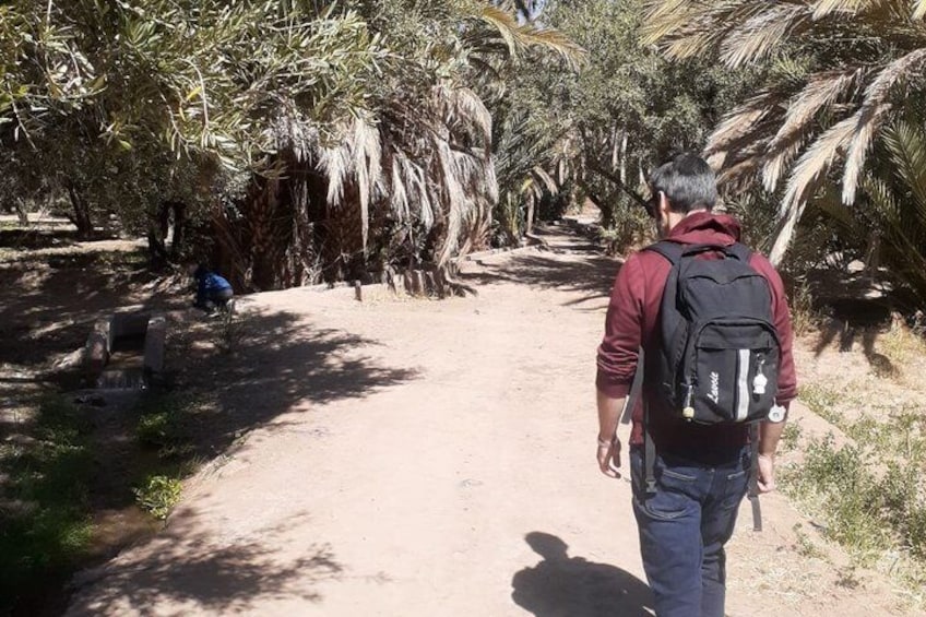 Skoura Oasis E-Bike & Mountain Bike Tour – Palm Grove, & Pottery Experience 2