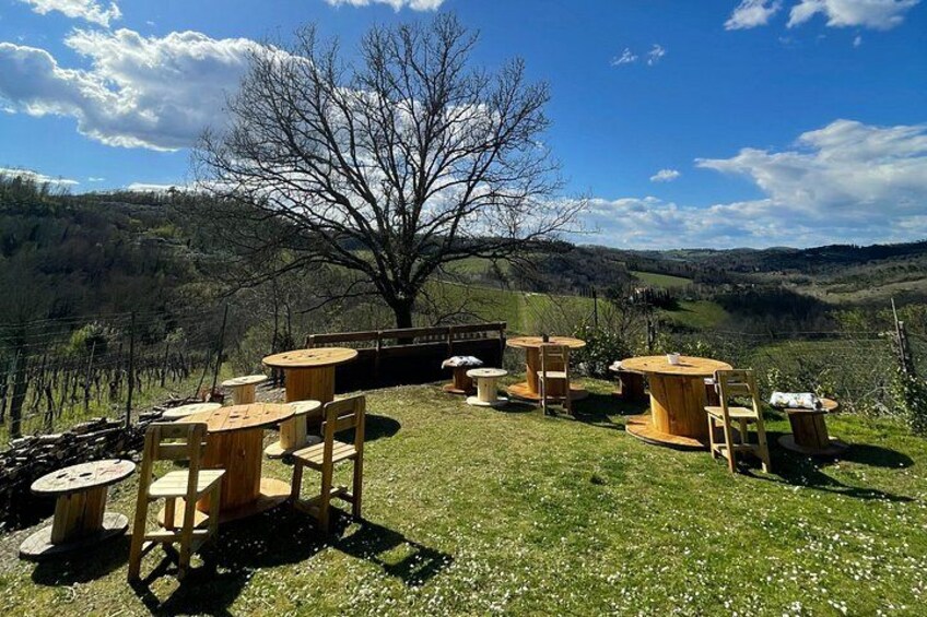 Hiking, picnic and foraging on the way + lunch at farm in chianti 2