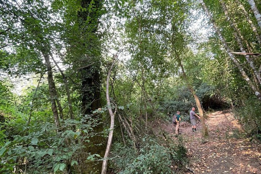 Hiking, picnic and foraging on the way + lunch at farm in chianti 3
