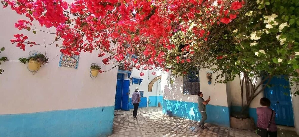 A narrow alley with blue and white walls, potted plants, and a person walking. 5