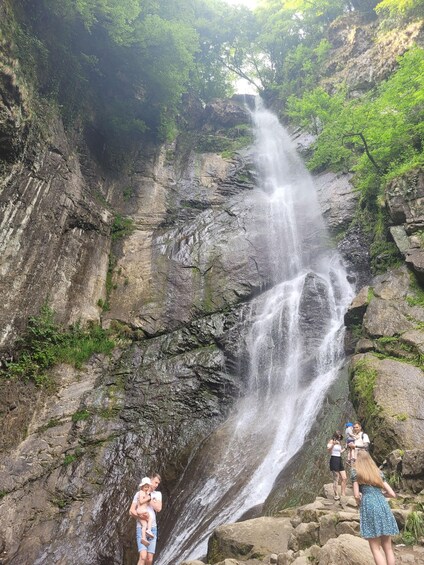A waterfall cascading down a rocky cliff surrounded by lush greenery. 3