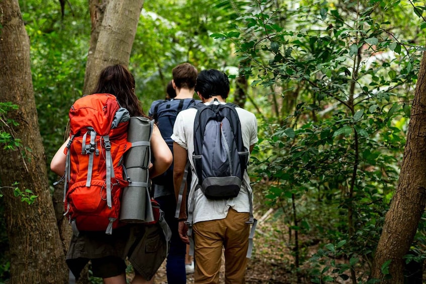 Picture 2 for Activity Deniyaya: Sinharaja Rainforest Private Guided Trek 4