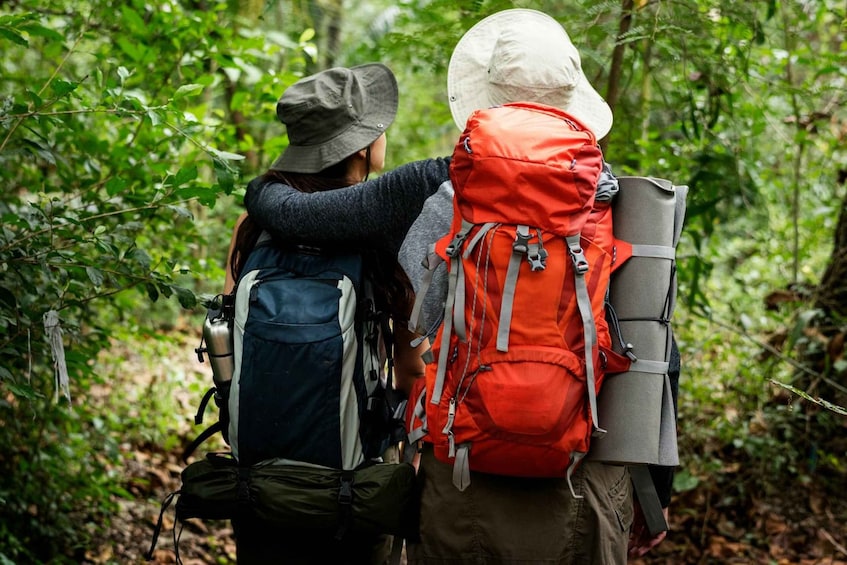 Picture 3 for Activity Deniyaya: Sinharaja Rainforest Private Guided Trek 5