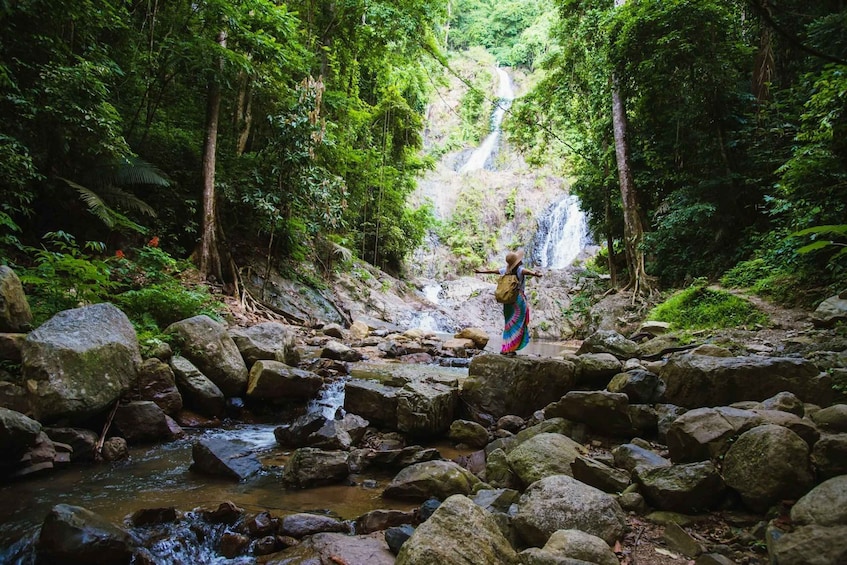 Picture 18 for Activity Deniyaya: Sinharaja Rainforest Private Guided Trek 3