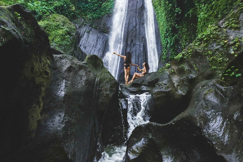 Picture 17 for Activity Deniyaya: Sinharaja Rainforest Private Guided Trek 2