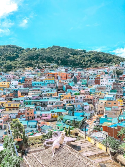A densely packed urban area with colorful buildings and a hillside in the background. 4
