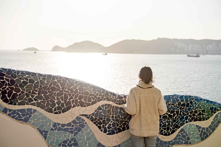 A mosaic wall with a person standing in front of it. 5