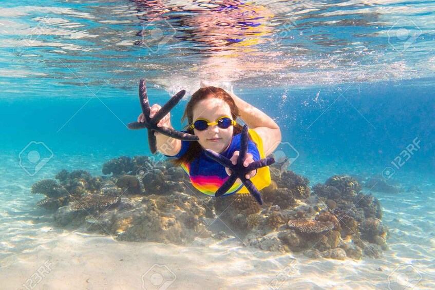 A person underwater holding a starfish, surrounded by coral reefs. 2