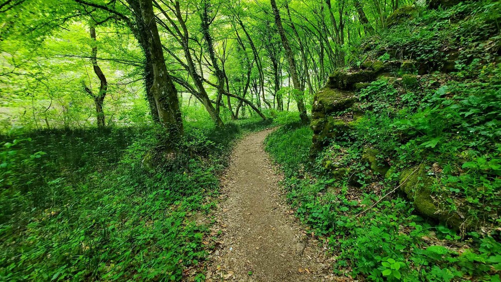 Picture 8 for Activity From Oradea: Gorges of Crisul Repede River 3