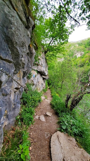 Picture 10 for Activity From Oradea: Gorges of Crisul Repede River 2