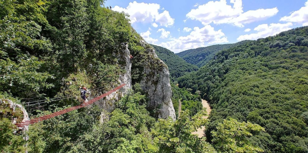 A suspension bridge in a forested valley with hikers on it. 1